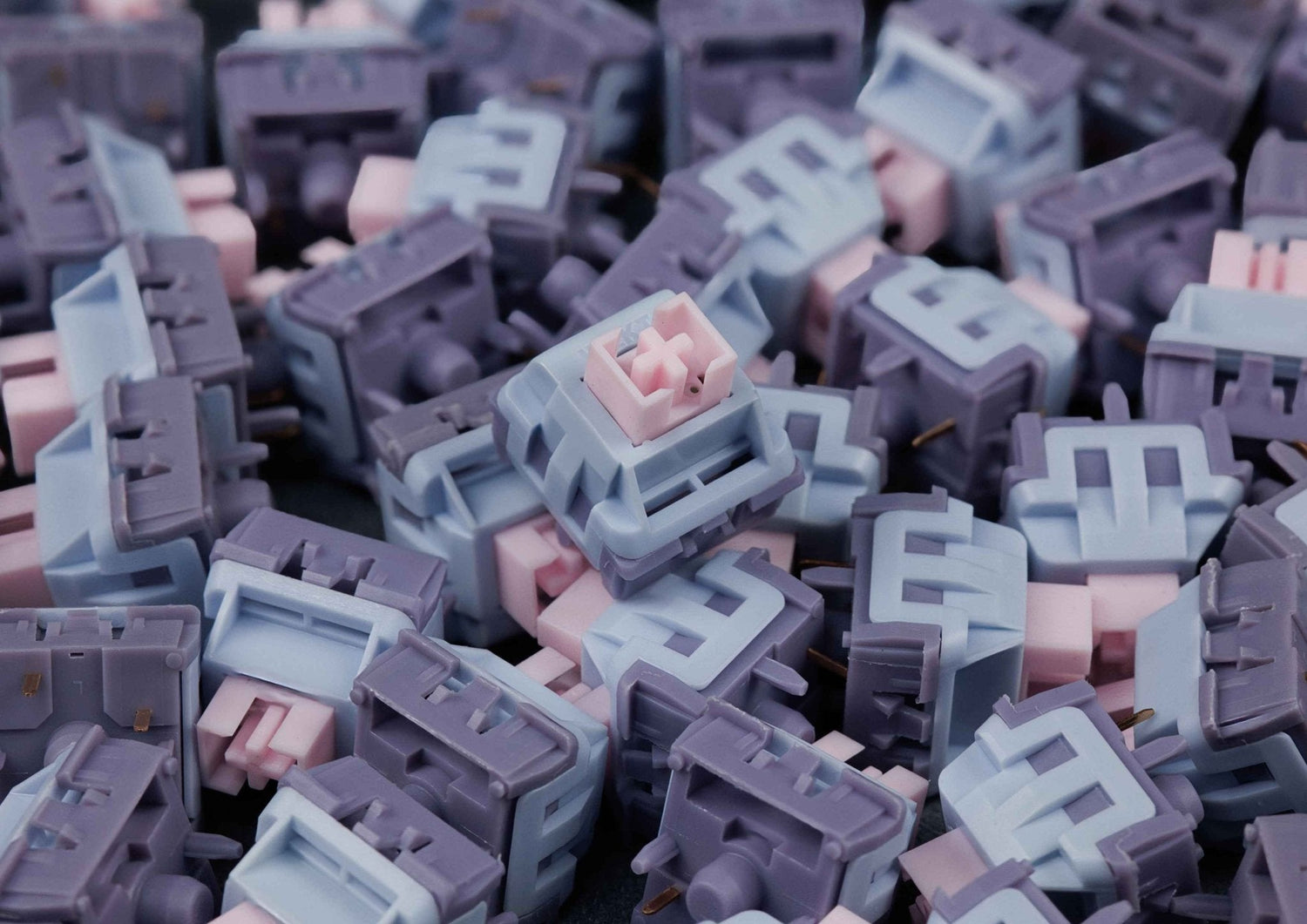 Neue Silent Switches auf Lager – WEKT Lucy V5 & Wingtree x Lichicx Lineup - MonacoKeys