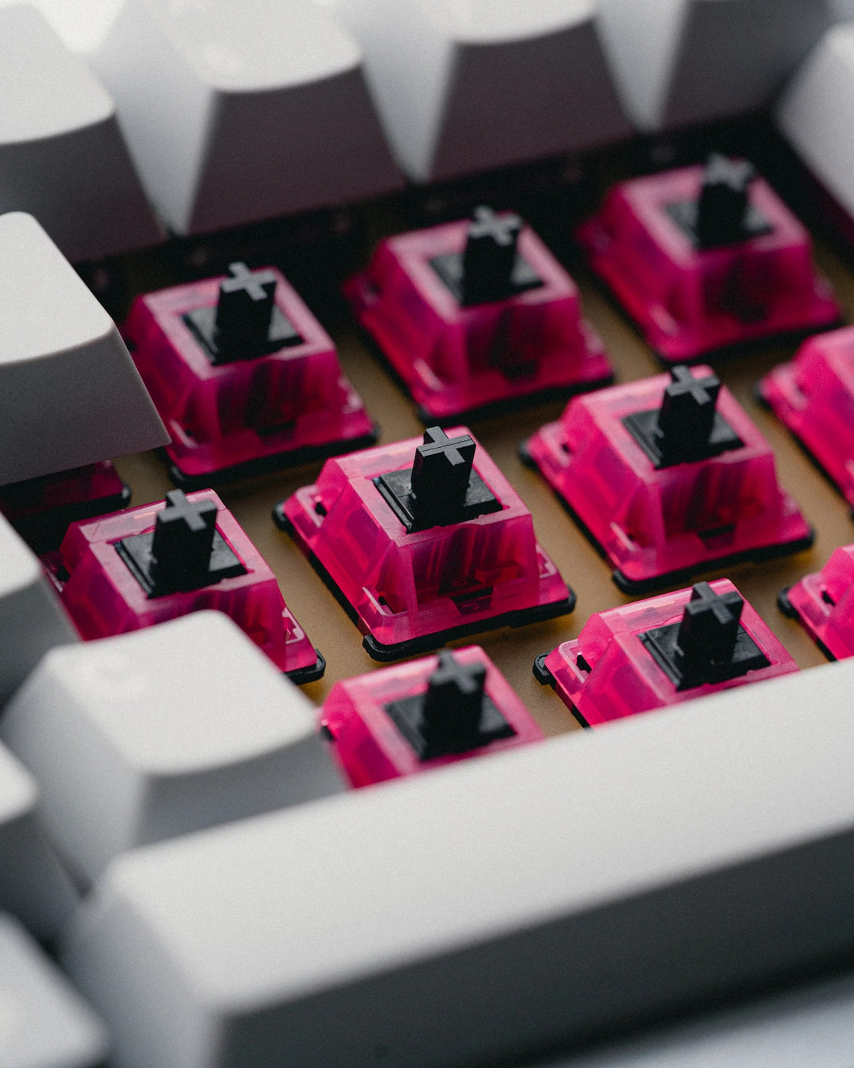 F-ROW Hollow Tips Switches eingebaut in einer Tastatur, Nahaufnahme zwischen hellgrauen Keycaps