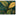 Flora Botanica Mauspad Deskmat - MonacoKeys