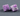 Gateron Orchid Full POM Linear Hall Effect Switches (10 Stück) - MonacoKeys