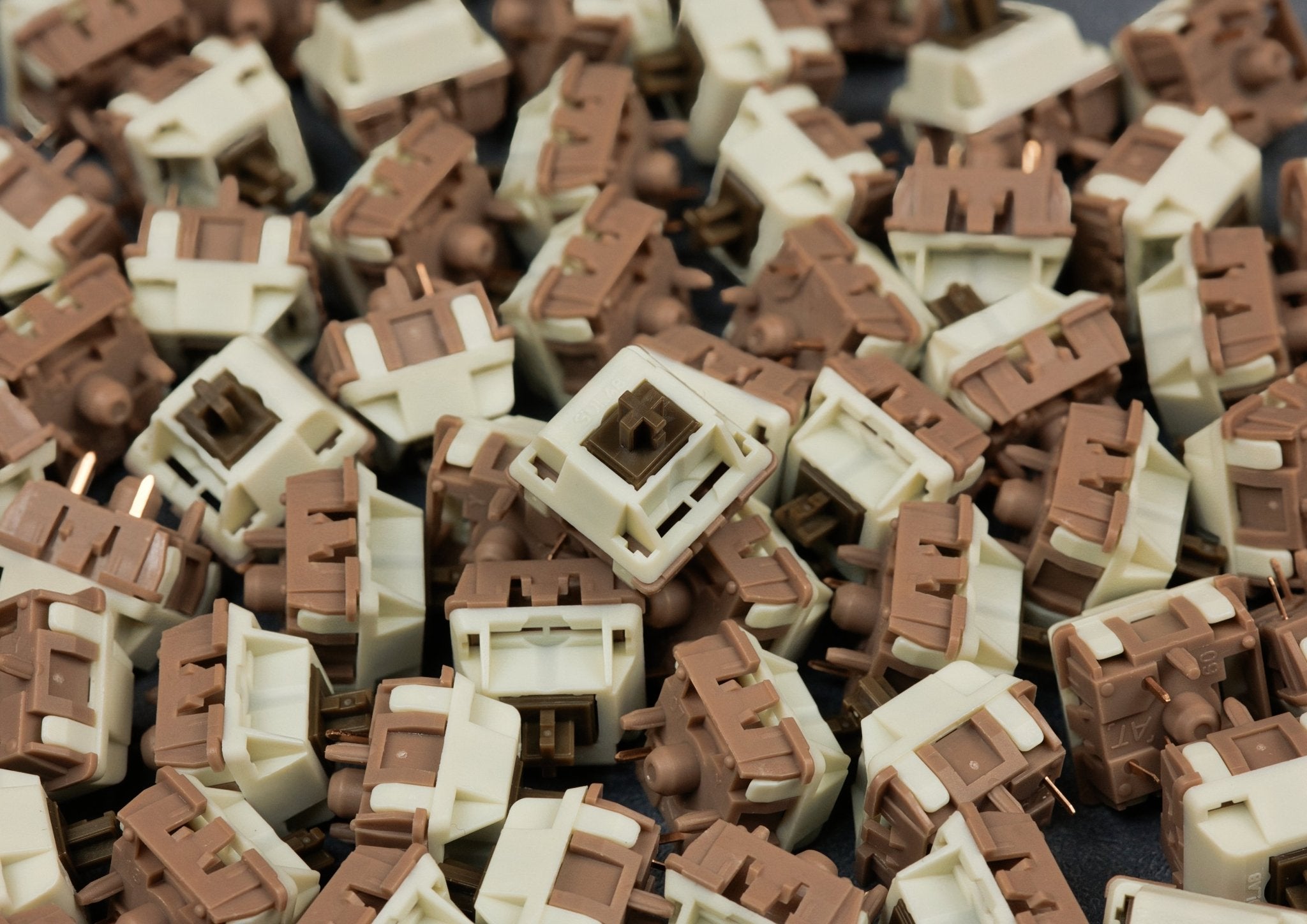 Wingtree Puer Tea Tactile Switches (10 Stück) - MonacoKeys